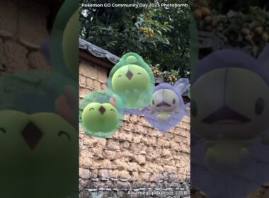 ユニラン｜Solosis｜ダブラン｜Duosion｜ランクルス｜Reuniclus｜ShinyPokémon【ポケモンGO】PoKeMoN GO AR｜AR動画｜GOsnapshot