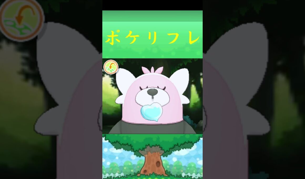 キテルグマ*ポケモン ポケリフレ ポケパルレ #ポケモン #Pokemon  #3DS #nintendoswitch #ポケモンsv #ポケモン #キャンプ #サンドイッチ #ピクニック