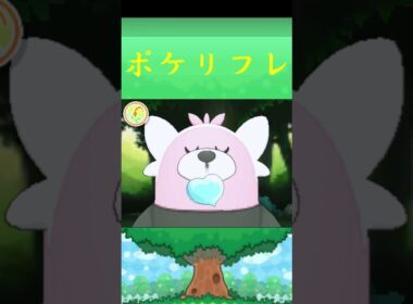 キテルグマ*ポケモン ポケリフレ ポケパルレ #ポケモン #Pokemon  #3DS #nintendoswitch #ポケモンsv #ポケモン #キャンプ #サンドイッチ #ピクニック