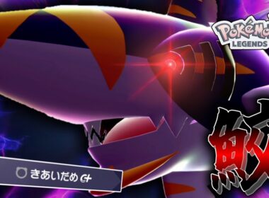 【ポケモンZA】 ゼルネアスまみれの環境でメガサメハダーを使います。何故ならかっこいいから。【ゆっくり実況】