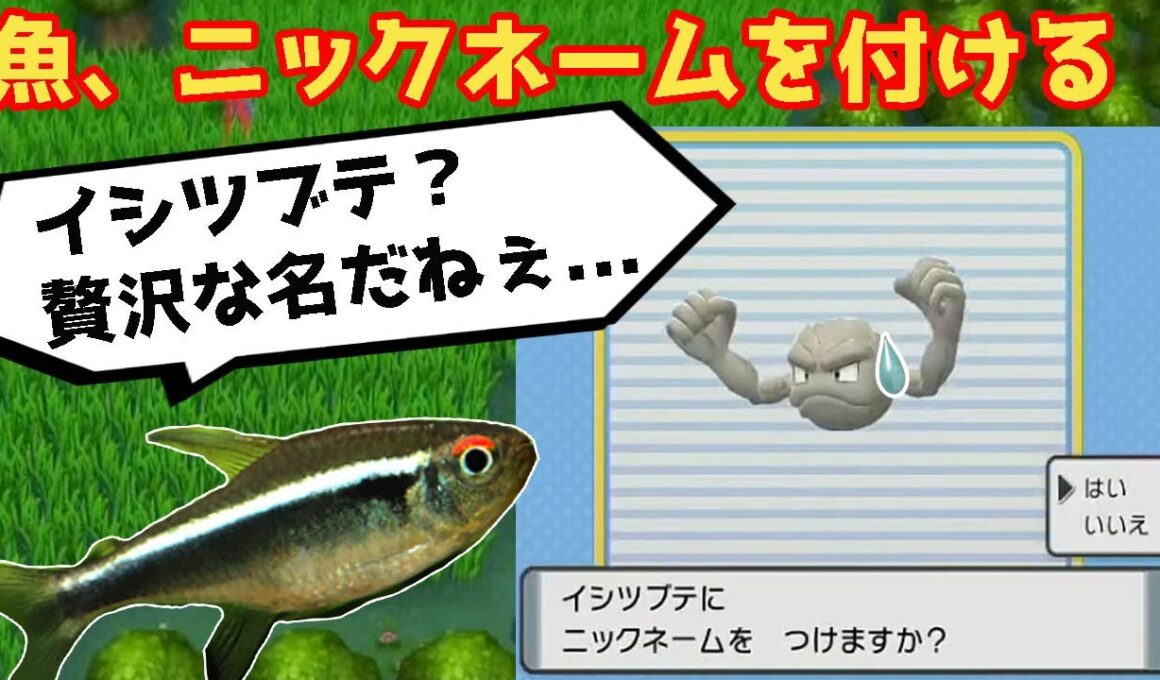 【奇跡】魚、視聴者も困惑するニックネームを付けてしまう