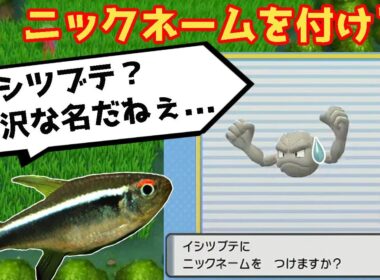 【奇跡】魚、視聴者も困惑するニックネームを付けてしまう