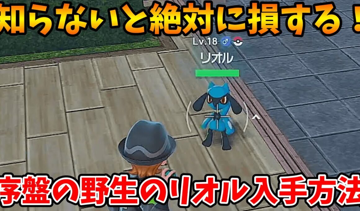 誰でも簡単なので絶対に見て！！野生のリオルの入手方法について解説【ﾎポケモンレジェンズZA】