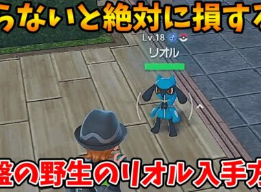 誰でも簡単なので絶対に見て！！野生のリオルの入手方法について解説【ﾎポケモンレジェンズZA】