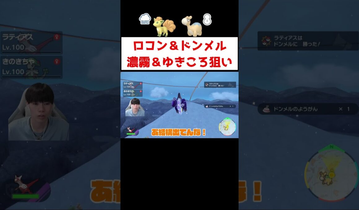 ロコン＆ドンメル色証厳選 #ゲーム実況 #shorts #ポケモン #ポケモンSV #ロコン #ドンメル #色違い #厳選