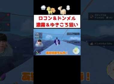 ロコン＆ドンメル色証厳選 #ゲーム実況 #shorts #ポケモン #ポケモンSV #ロコン #ドンメル #色違い #厳選