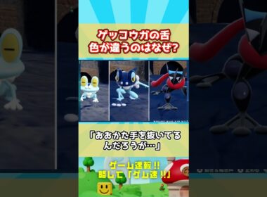 マフラーの正体！ゲッコウガの舌色が違うのはなぜ？