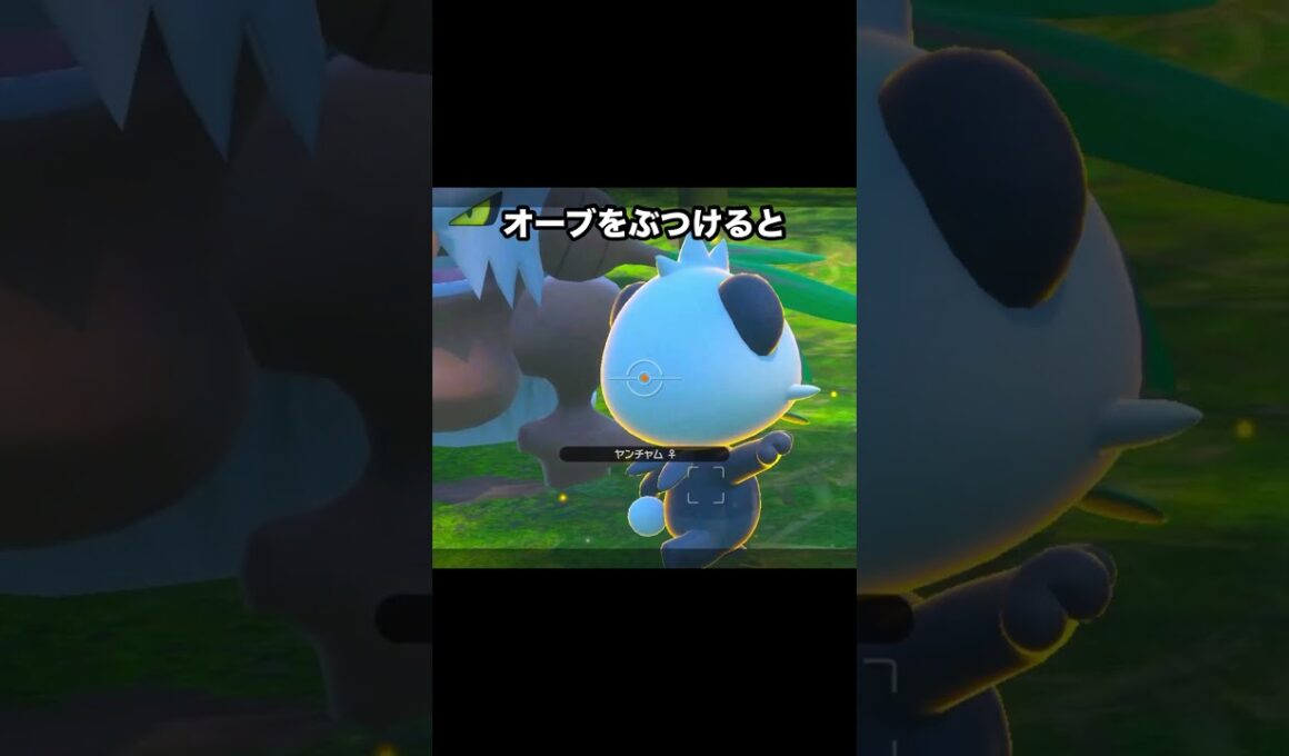 【孫とおじいちゃん】ヤンチャムとダーテングの師弟関係 #ポケモン #newポケモンスナップ