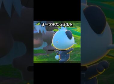 【孫とおじいちゃん】ヤンチャムとダーテングの師弟関係 #ポケモン #newポケモンスナップ