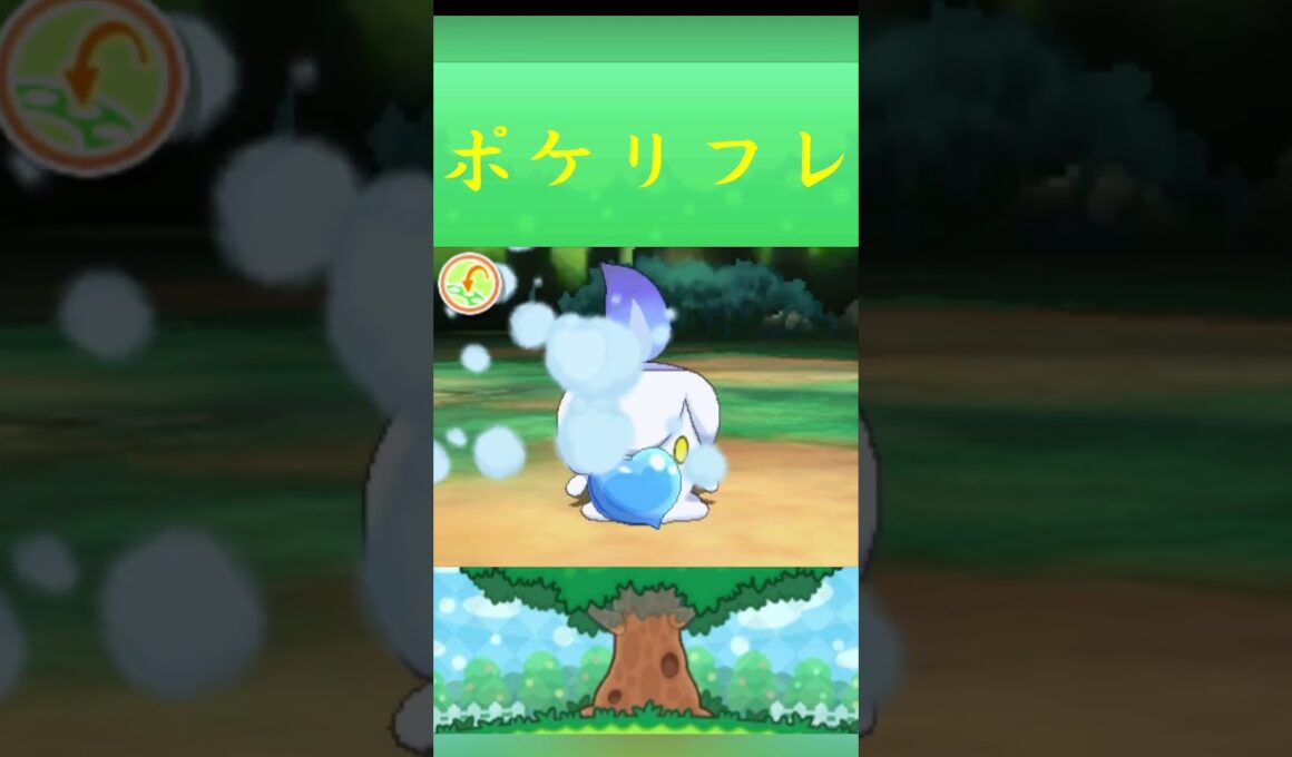 ポケモン ヒトモシ ポケリフレ ポケパルレ #ポケモン #Pokemon  #3DS #ポケモン技 #ポケモンsv #ポケモン#キャンプ #カレー #サンドイッチ #ピクニック