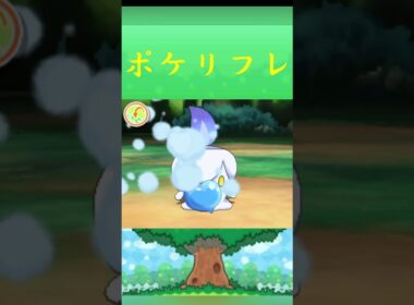 ポケモン ヒトモシ ポケリフレ ポケパルレ #ポケモン #Pokemon  #3DS #ポケモン技 #ポケモンsv #ポケモン#キャンプ #カレー #サンドイッチ #ピクニック