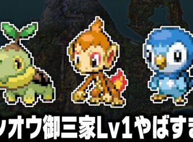 ヒコザル.ポッチャマ.ナエトルLv1が最初のポケモンだったら別地方を1匹で殿堂入りできるの？【ブラックホワイトBW/BW2】【総集編】