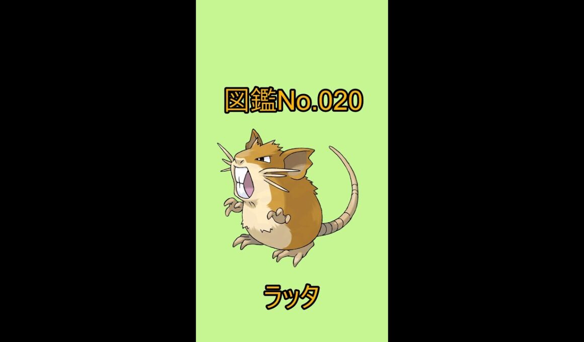 【ポケットモンスター】ポケモン図鑑じっくり解析シリーズ！ーNo.020ラッター#Shorts