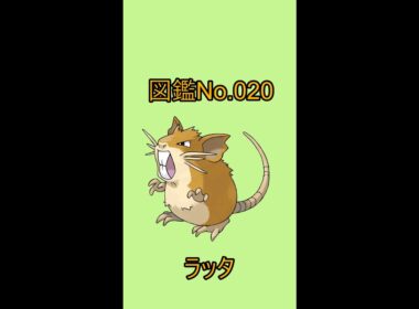【ポケットモンスター】ポケモン図鑑じっくり解析シリーズ！ーNo.020ラッター#Shorts
