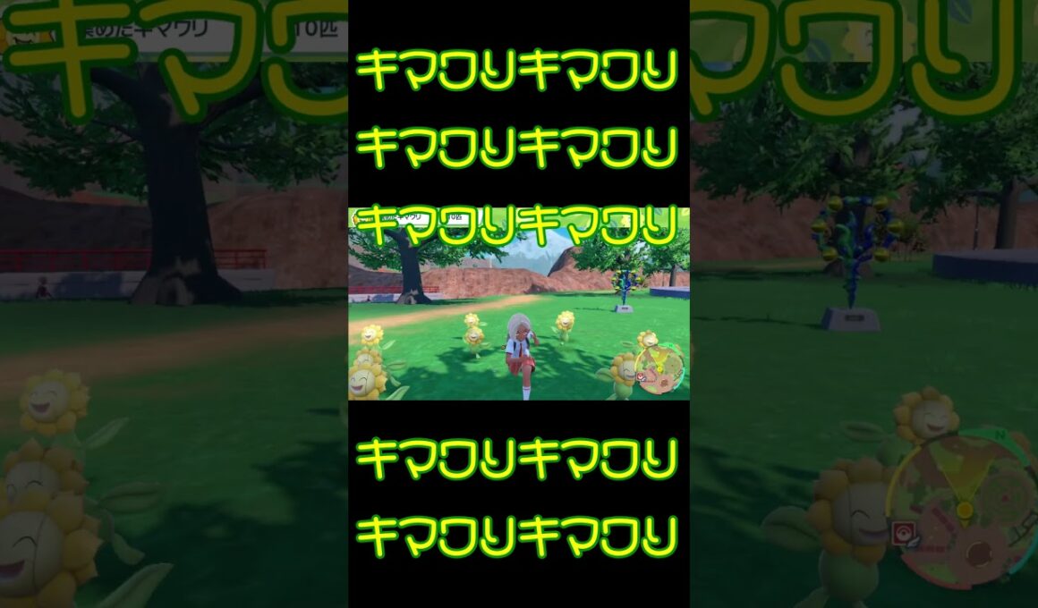 ポケモンハッピー キマワリキマワリ #shorts #ポケモン
