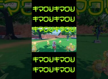 ポケモンハッピー キマワリキマワリ #shorts #ポケモン