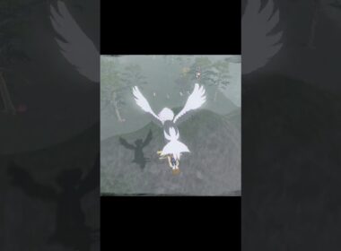 色違いヤンヤンマ捕獲！⭐✨✨#色違い #アルセウス #ポケモン #shorts  #ゲーム #shinypokemon #shiny  #pokemon #pokemonlegendsarceus