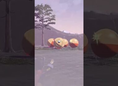 ヒスイに大量発生する微笑みの巨大爆弾！色違いヒスイマルマイン親分【ポケモンレジェンズアルセウス】#ポケモン #pokemon #色違い #shorts