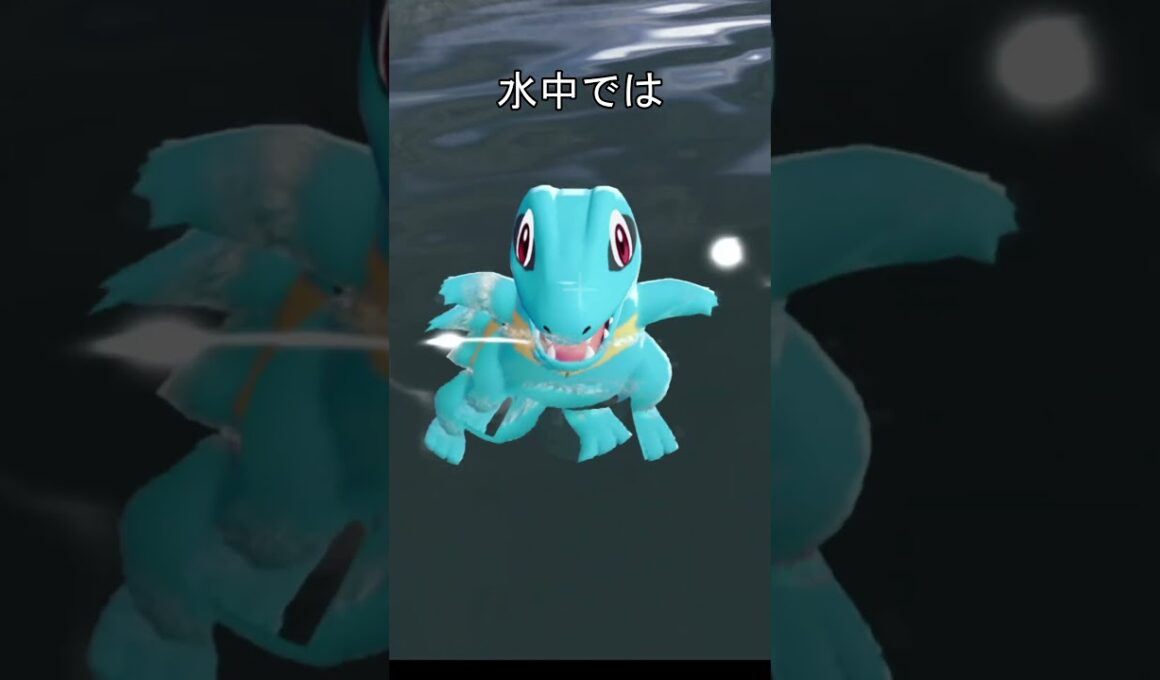 ワニノコ　水中での眠り方 #ポケモン #ポケモンza #ワニノコ