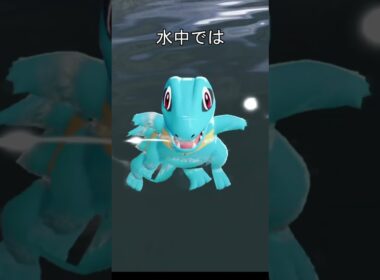 ワニノコ　水中での眠り方 #ポケモン #ポケモンza #ワニノコ