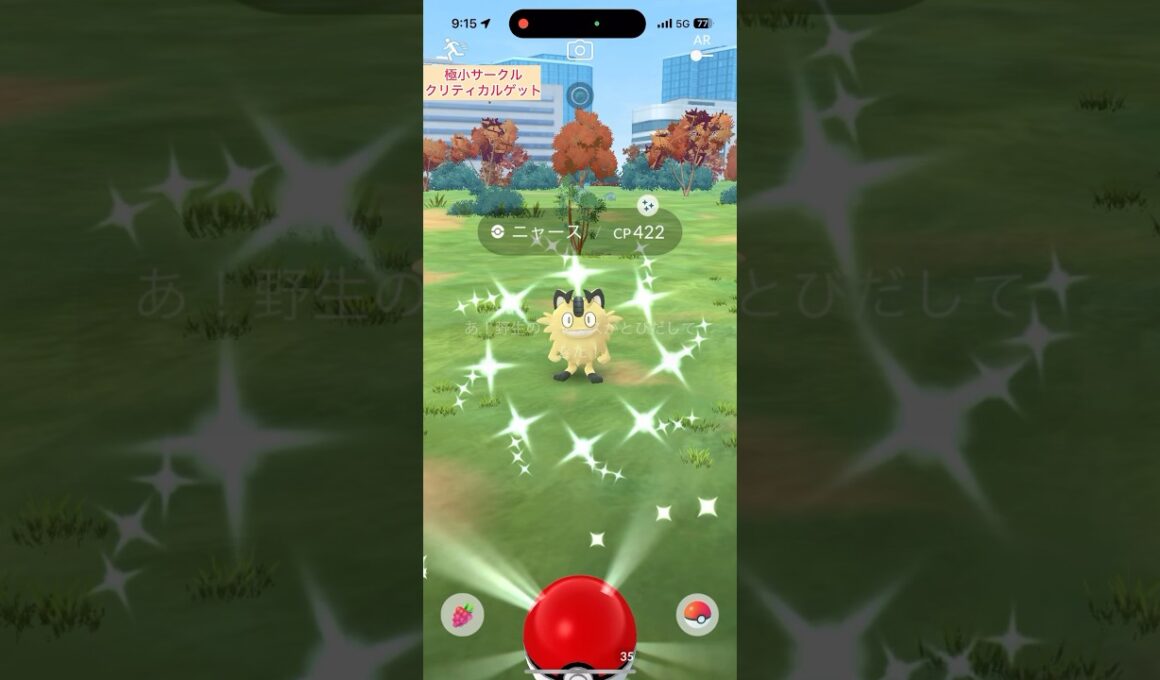 【難易度中】色違いガラルニャース極小サークルクリティカルゲット【ポケモンGO】