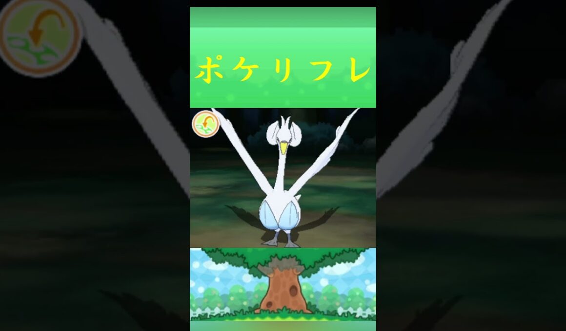 ポケモン スワンナ ポケリフレ ポケパルレ #ポケモン #Pokemon  #3DS #ポケモン技 #ポケモンsv #ポケモン#キャンプ #カレー #サンドイッチ #ピクニック
