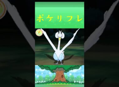 ポケモン スワンナ ポケリフレ ポケパルレ #ポケモン #Pokemon  #3DS #ポケモン技 #ポケモンsv #ポケモン#キャンプ #カレー #サンドイッチ #ピクニック