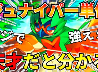 【ポケポケ】『スイゲコ』『メガチルタリス』tier1デッキに勝てる『ジュナイパー単体』マジで強かったので紹介します【Pokémon Trading Card Game Pocket】