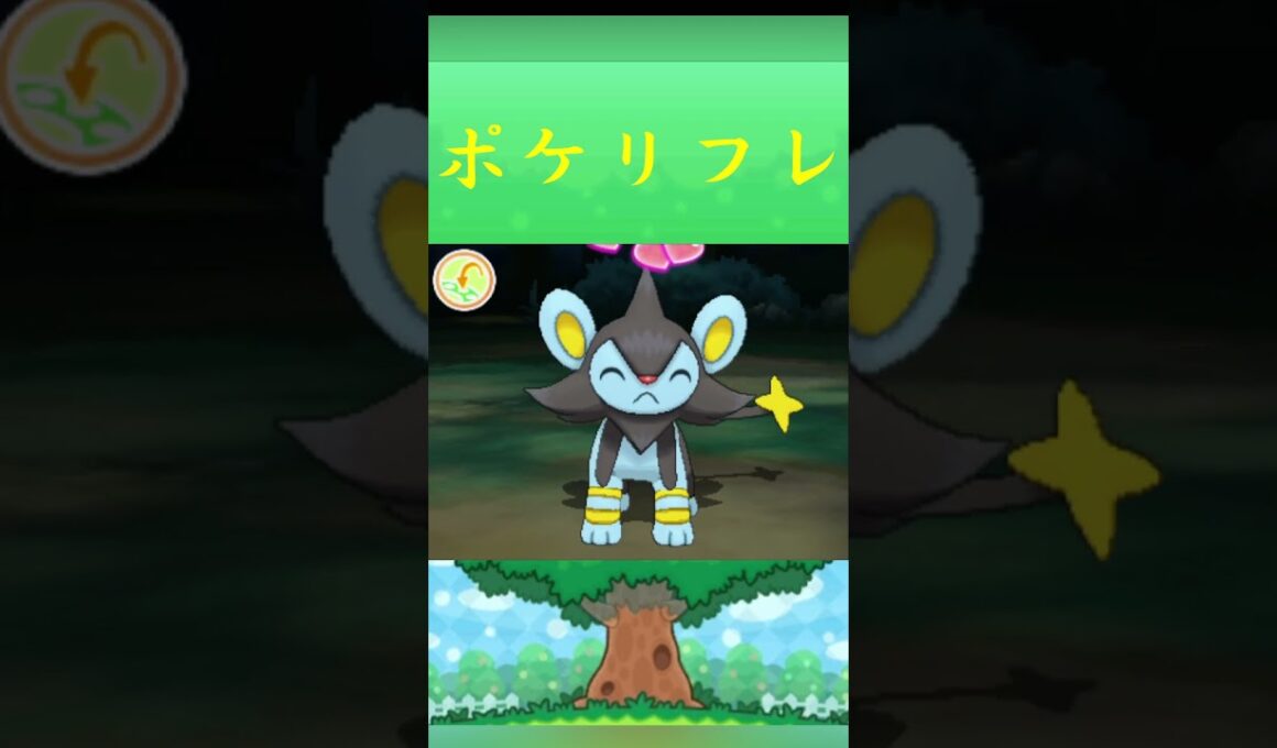 ポケモン ルクシオ ポケリフレ ポケパルレ #ポケモン #Pokemon  #3DS #ポケモン技 #ポケモンsv #ポケモン#キャンプ #カレー #サンドイッチ #ピクニック