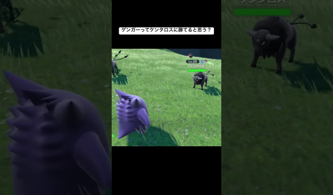 ゲンガーってケンタロスに勝てると思う？ #ポケモン #ポケモンsv #ゲーム実況 #ポケモンgo #スカーレット #シブヤマサキ#ポケモン実況 #gameplay #gaming #games