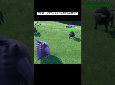 ゲンガーってケンタロスに勝てると思う？ #ポケモン #ポケモンsv #ゲーム実況 #ポケモンgo #スカーレット #シブヤマサキ#ポケモン実況 #gameplay #gaming #games