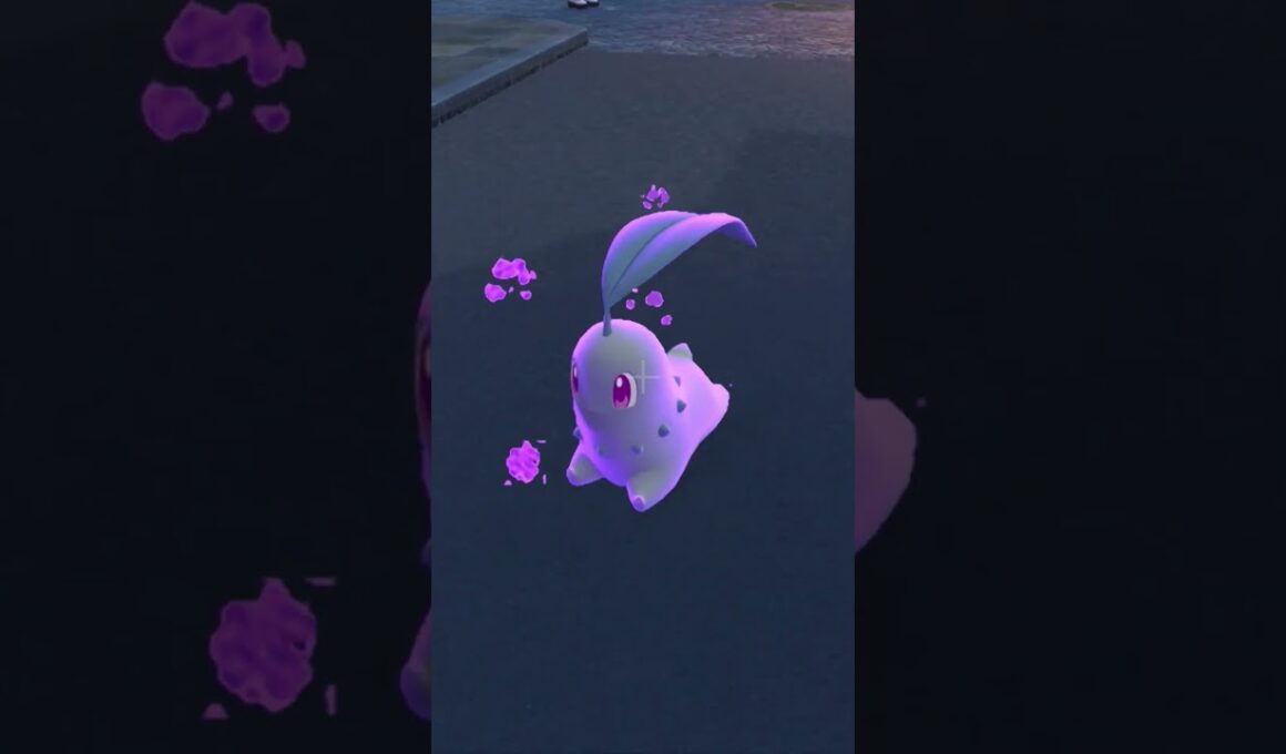 毒状態のチコリータと追いかけっこ【Pokémon LEGENDS Z-A】#ポケモンレジェンズza #pokemonlegendsza #ポケモン #ポケモンza #pokemon