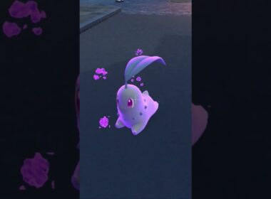 毒状態のチコリータと追いかけっこ【Pokémon LEGENDS Z-A】#ポケモンレジェンズza #pokemonlegendsza #ポケモン #ポケモンza #pokemon