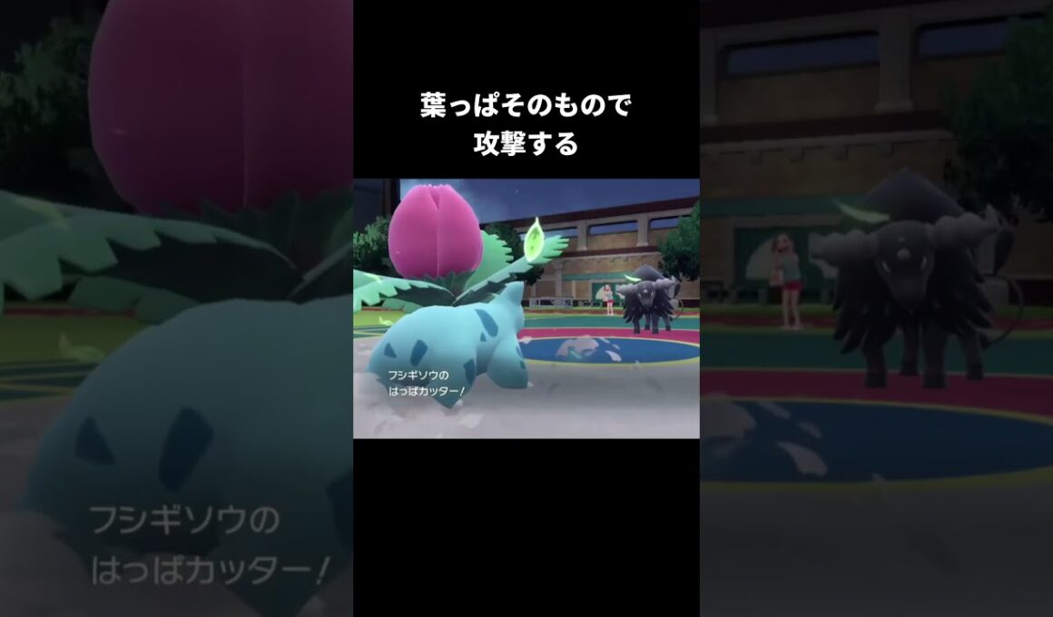 フシギソウの必殺技の違い【スマブラSP】【ポケモンSV】
