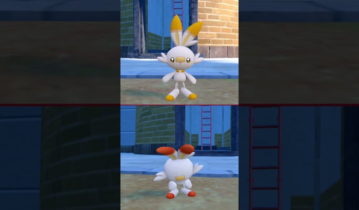 #ヒバニー  #scorbunny  #pokemonscarletandviolet