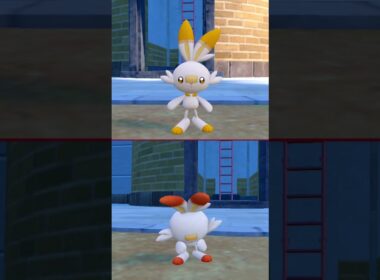 #ヒバニー  #scorbunny  #pokemonscarletandviolet