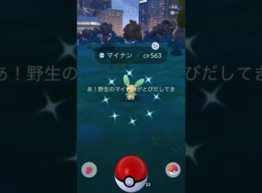 色違い マイナン ！【 ポケモンgo 】フツーでもかわいいのにさらにかわいく！ #ポケモン #pokemon #ポケモンgo #pokemongo #マイナン