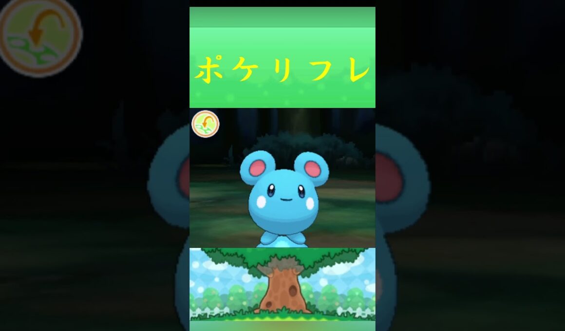ポケモン ルリリ ポケリフレ ポケパルレ #ポケモン #Pokemon  #3DS #ポケモン技 #ポケモンsv #ポケモン#キャンプ #カレー #サンドイッチ #ピクニック
