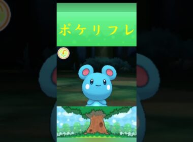 ポケモン ルリリ ポケリフレ ポケパルレ #ポケモン #Pokemon  #3DS #ポケモン技 #ポケモンsv #ポケモン#キャンプ #カレー #サンドイッチ #ピクニック