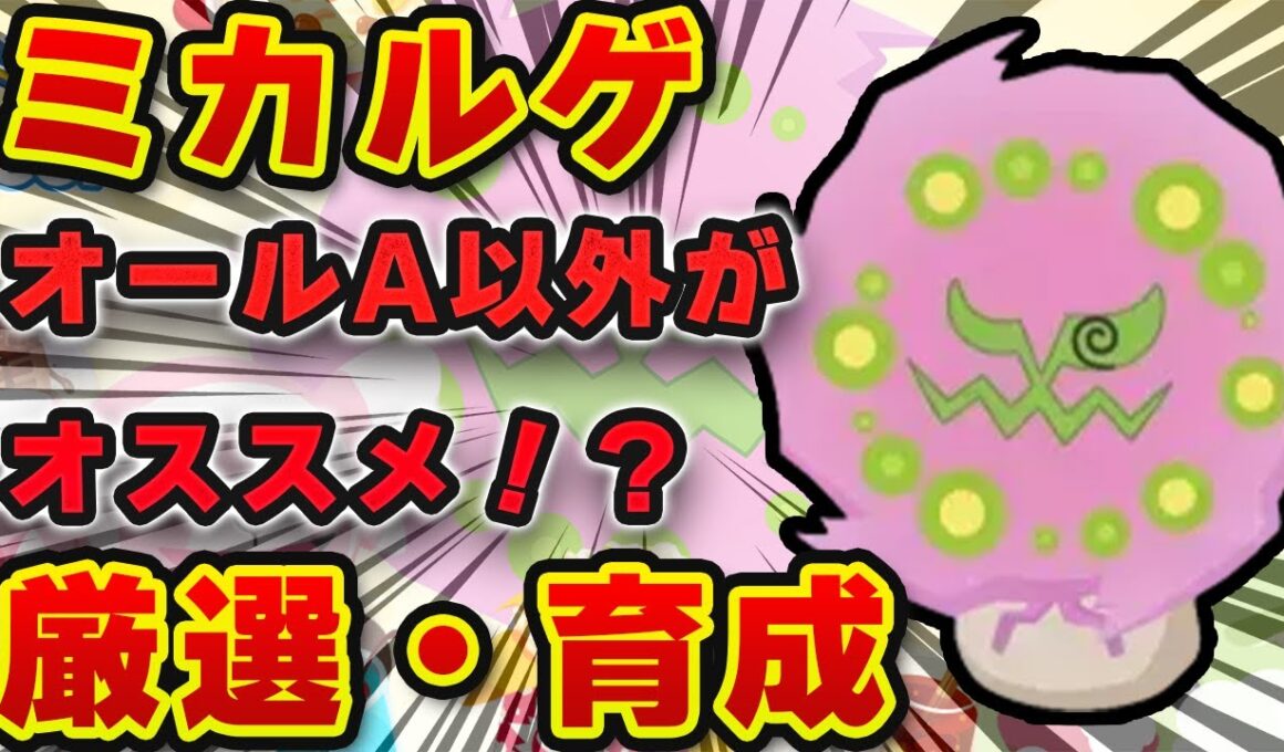 【ポケモンスリープ】ミカルゲは厳選するべき？？高エナジー3種持ちの将来性を徹底解説【無課金、微課金】