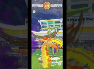 ビリジオンに飛行タイプのシャドウポケモンだけで挑戦