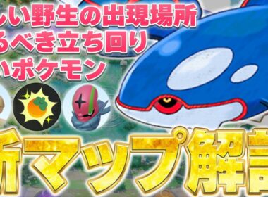 【完全版】これ見れば新環境丸わかり！カイオーガマップで必要な知識完全解説！【ポケモンユナイト】
