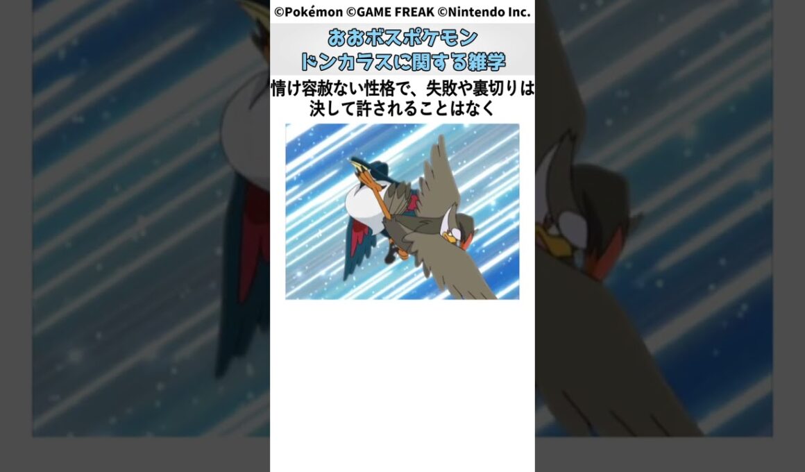 ポケモン 1分でわかるドンカラス Pokemon #ポケモン #pokemon #ポケットモンスター