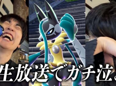 13年間共に生きてきたルカリオが「メガルカリオＺ」になってガチ泣き