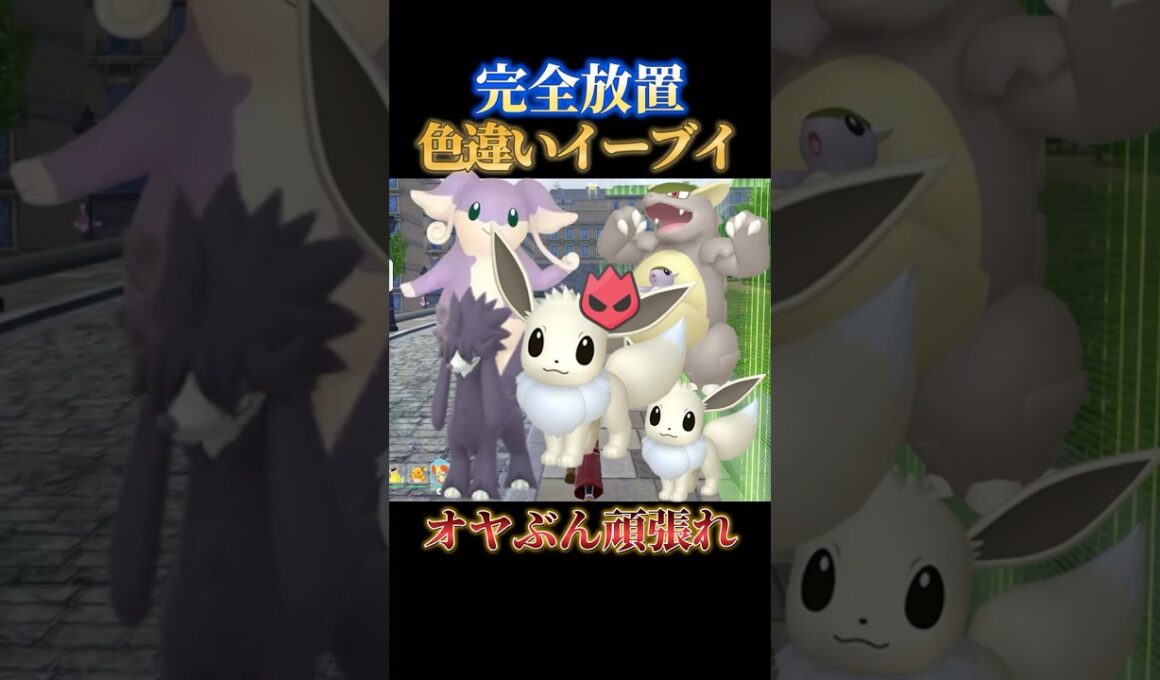 【オススメせん】色違いオヤブンイーブイを完全放置でゲットできるスポット教えます【ポケモンZA】#shorts #ポケモン #つっつー #pokemon