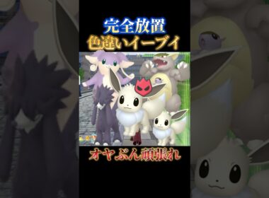 【オススメせん】色違いオヤブンイーブイを完全放置でゲットできるスポット教えます【ポケモンZA】#shorts #ポケモン #つっつー #pokemon