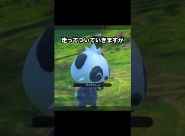 【大集合】ヤンチャムとシキジカの水浴び #ポケモン #newポケモンスナップ