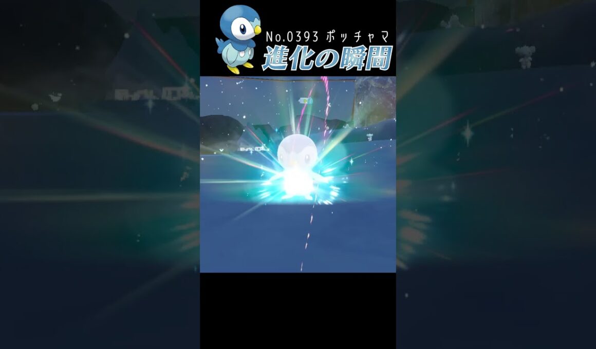 【藍の円盤】ポッチャマ 進化の瞬間 #shorts