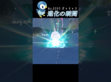 【藍の円盤】ポッチャマ 進化の瞬間 #shorts