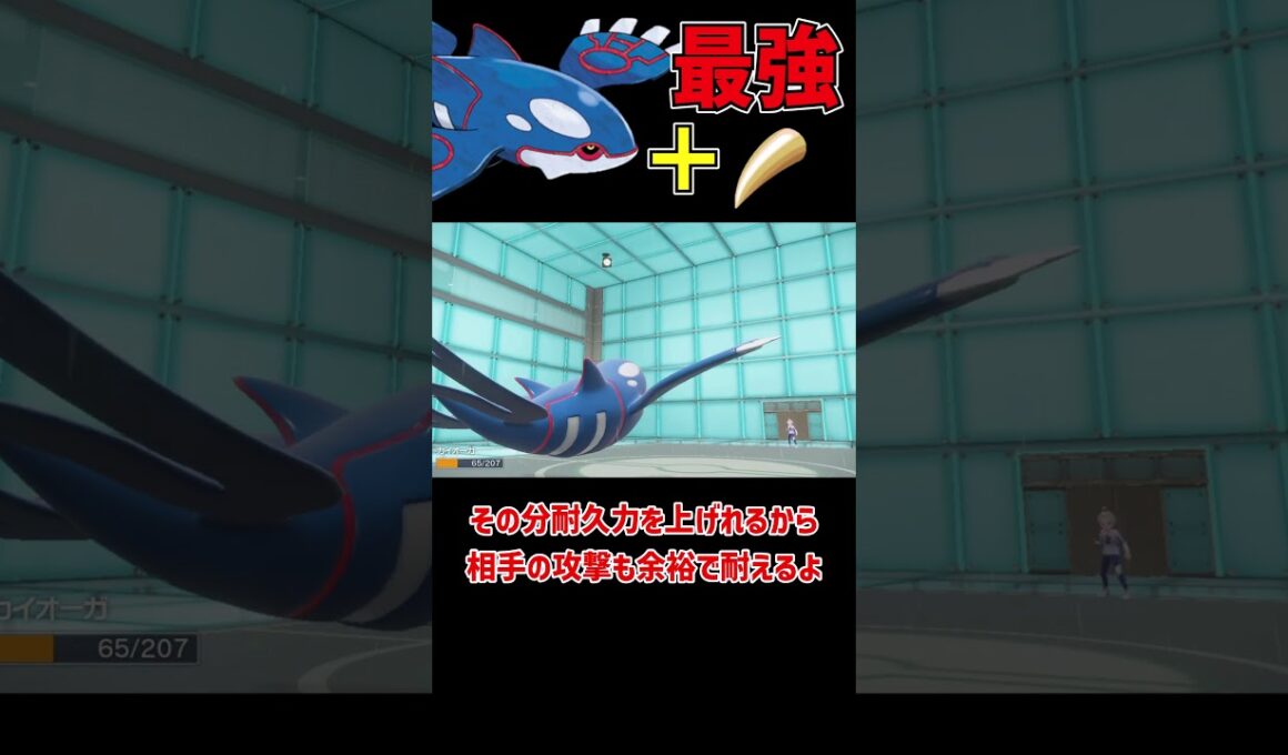 最強の持ち物を持った カイオーガ